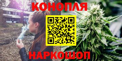 МДПВ Славгород