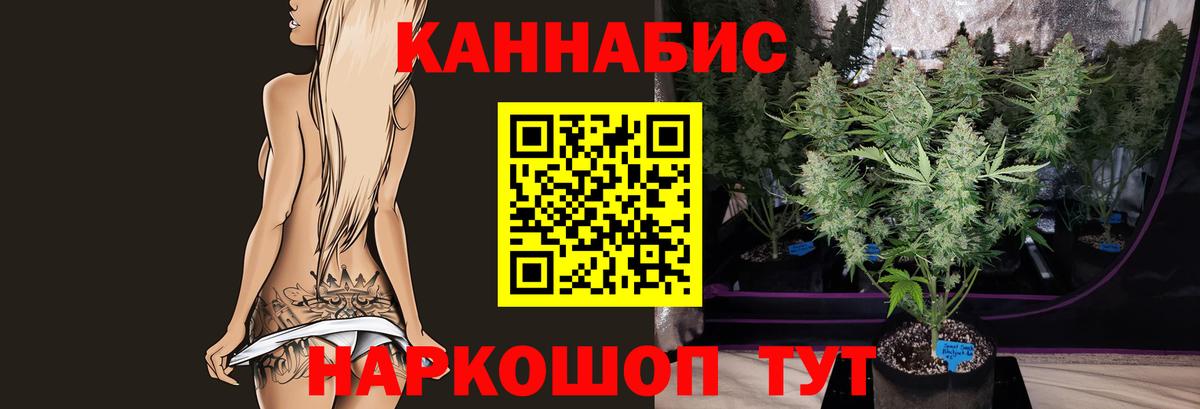Шишки марихуана конопля Балашиха